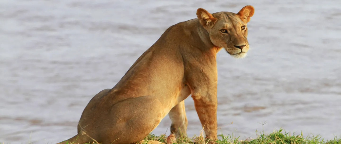 imgi_17_Samburu_National-Reserve