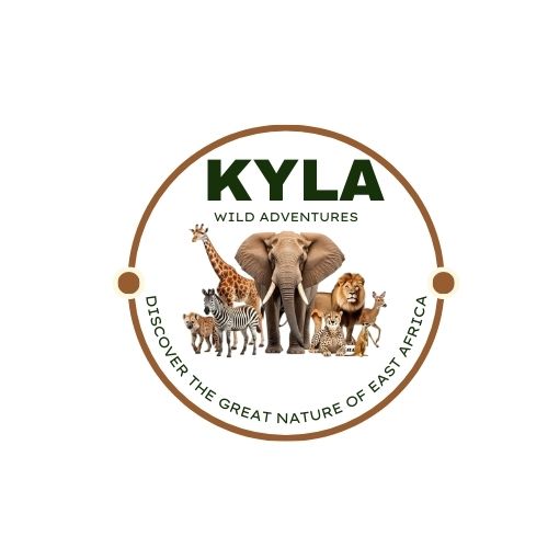 Kyla Wild Adventures